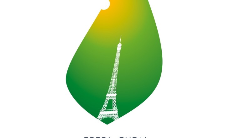 Think Smartgrids à la COP21